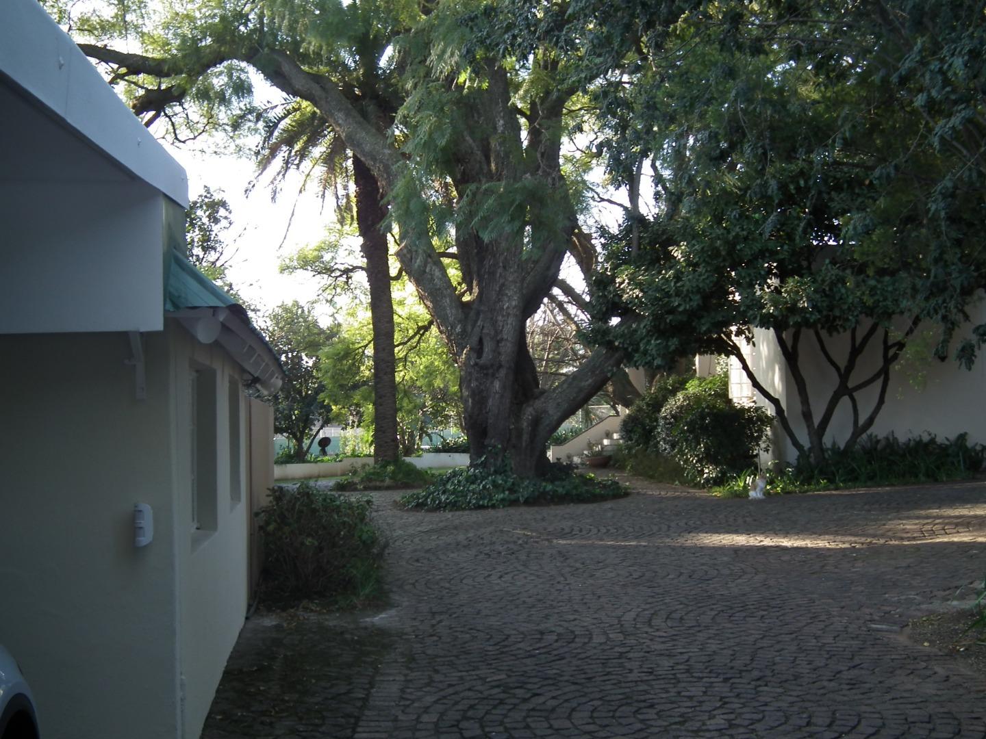751639_Werner_garage_en_braai_008.JPG