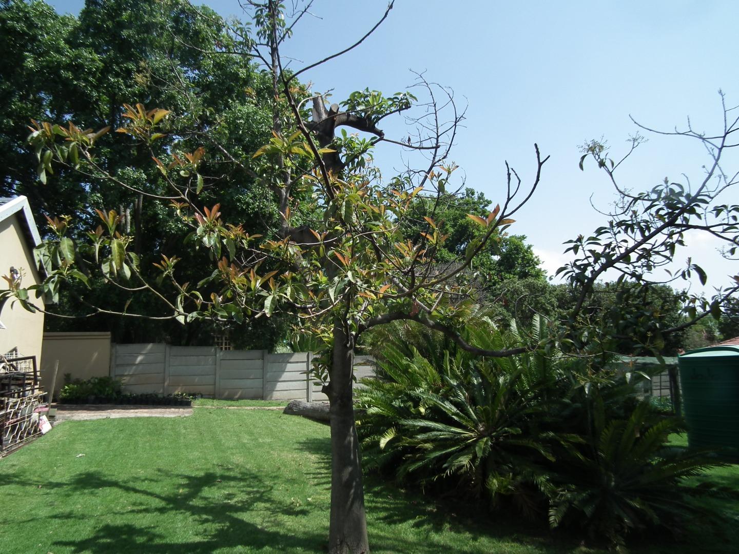 756665_248_Aurrey_074.JPG