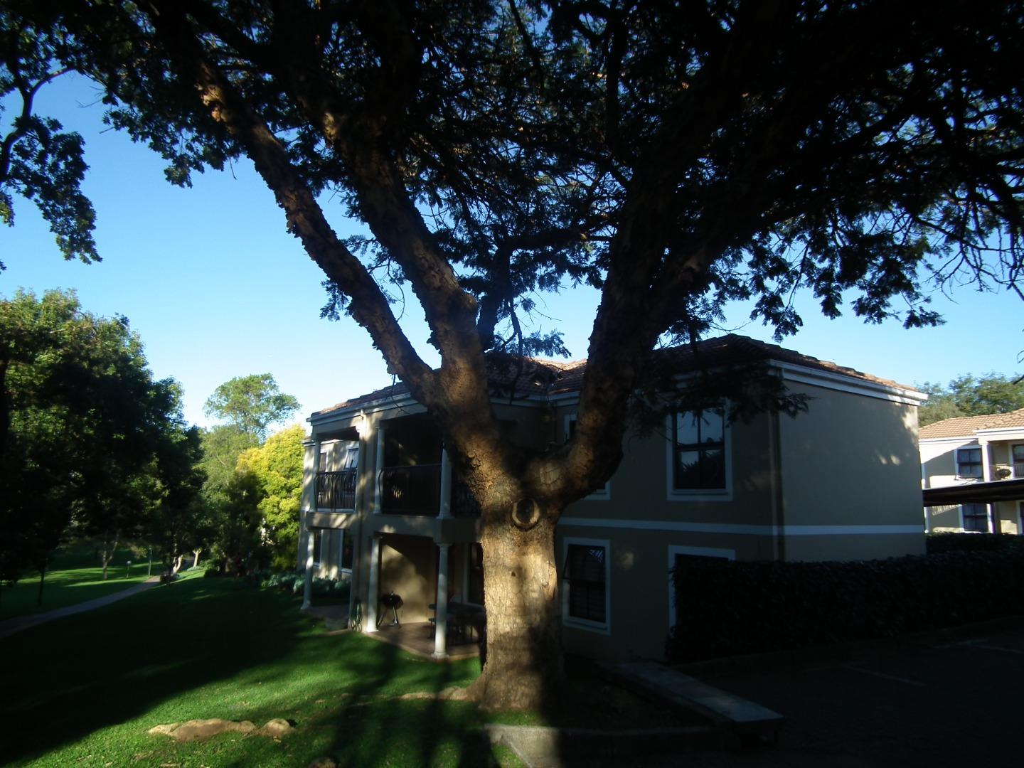 731619_26MacArthur_2025_vacant_019.JPG